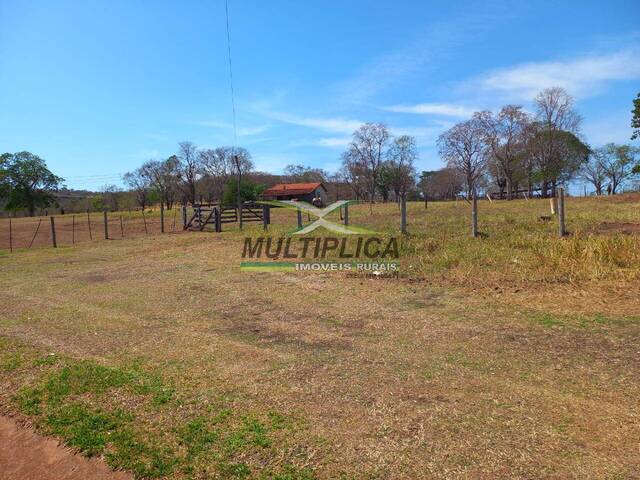 #682 - Fazenda para Venda em Campina Verde - MG