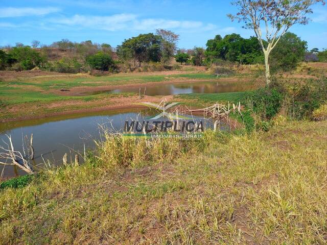 #682 - Fazenda para Venda em Campina Verde - MG - 2