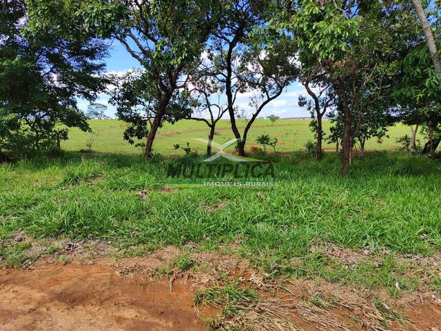 #683 - Fazenda para Venda em Paracatu - MG