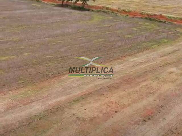 #692 - Fazenda para Venda em Monte Alegre de Minas - MG - 2