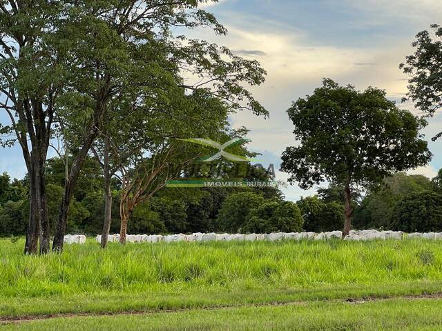 #693 - Fazenda para Venda em Aruanã - GO - 3