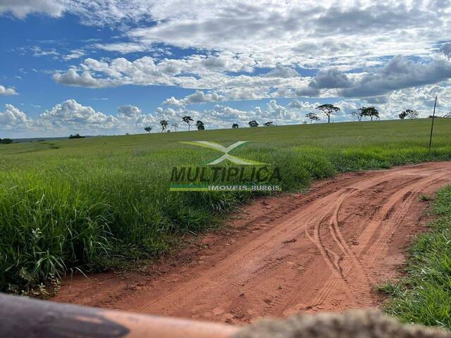 #696 - Fazenda para Venda em Campina Verde - MG - 3