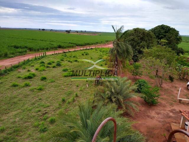 #697 - Fazenda para Venda em Suzanápolis - SP - 1