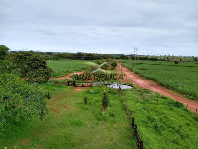 #697 - Fazenda para Venda em Suzanápolis - SP - 2