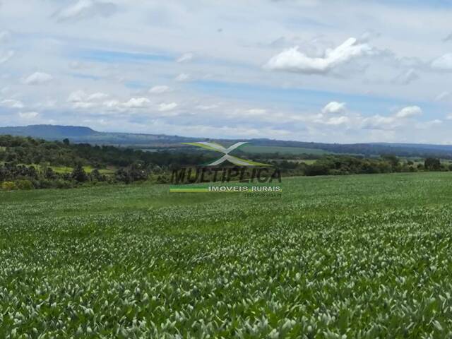 #698 - Fazenda para Venda em Campina Verde - MG - 2