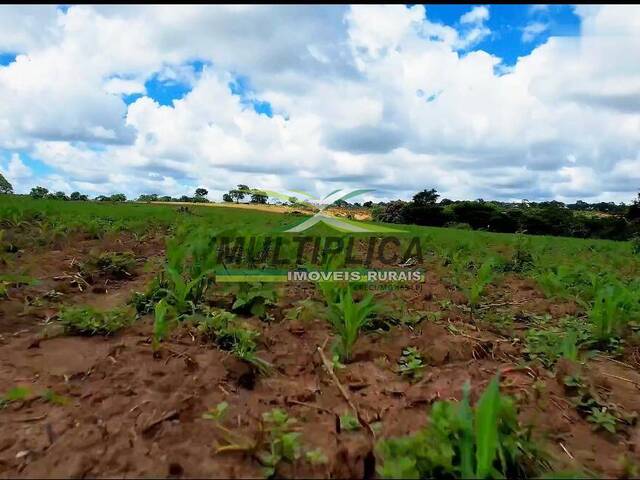 #699 - Fazenda para Venda em São João da Ponte - MG - 2