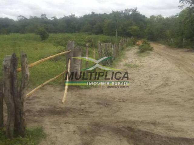 #653 - Fazenda para Venda em Bonito de Minas - MG - 2