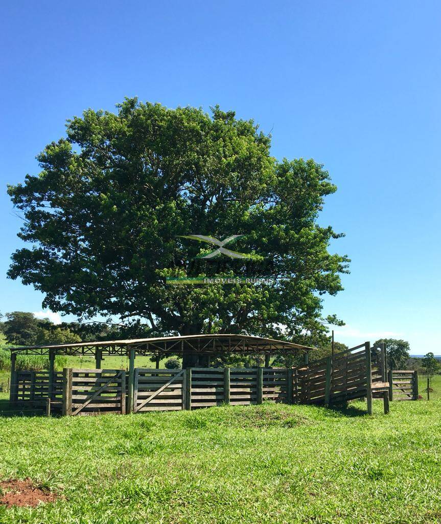 Fazenda à venda, 29m² - Foto 3