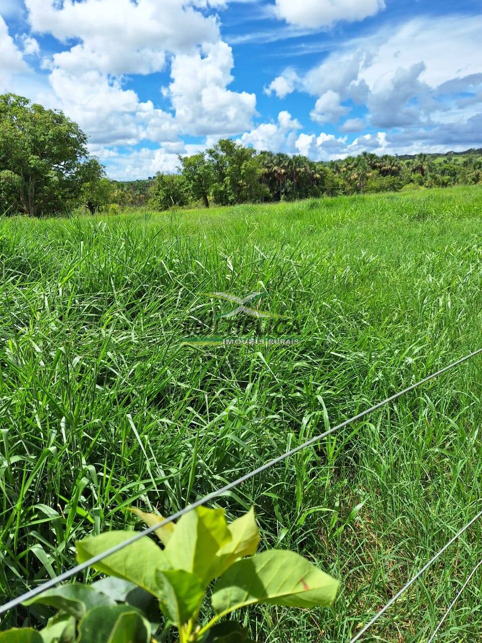 Fazenda à venda, 168m² - Foto 1