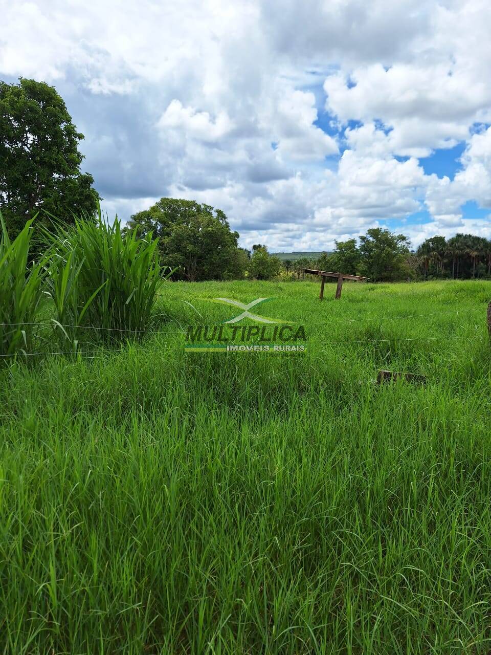 Fazenda à venda, 168m² - Foto 2