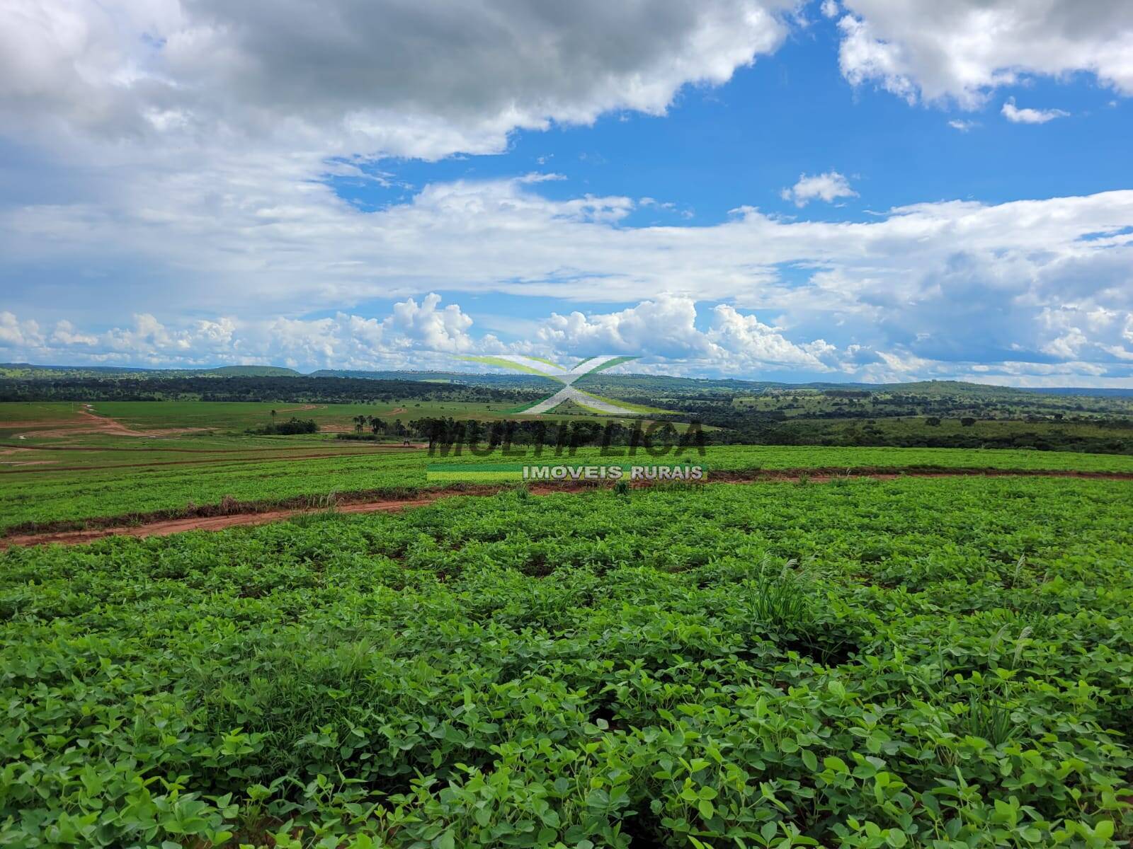 Fazenda à venda, 250m² - Foto 3