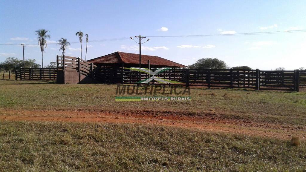 Terreno à venda, 3200m² - Foto 2