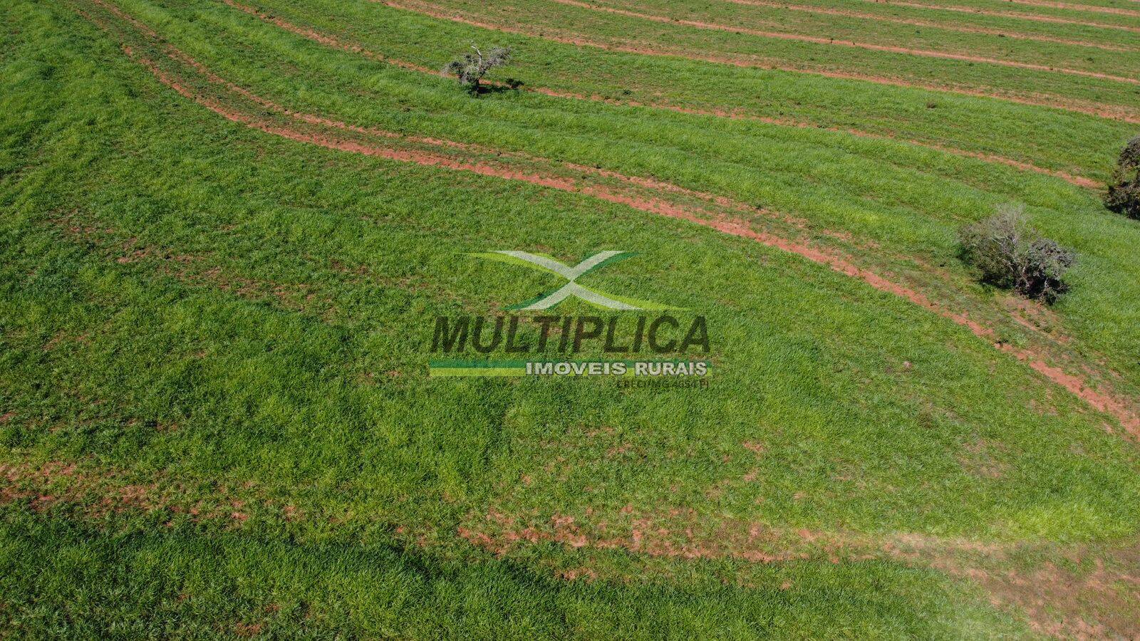 Fazenda-Sítio-Chácara, 380 m² - Foto 3