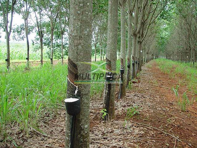 Fazenda à venda, 84m² - Foto 1