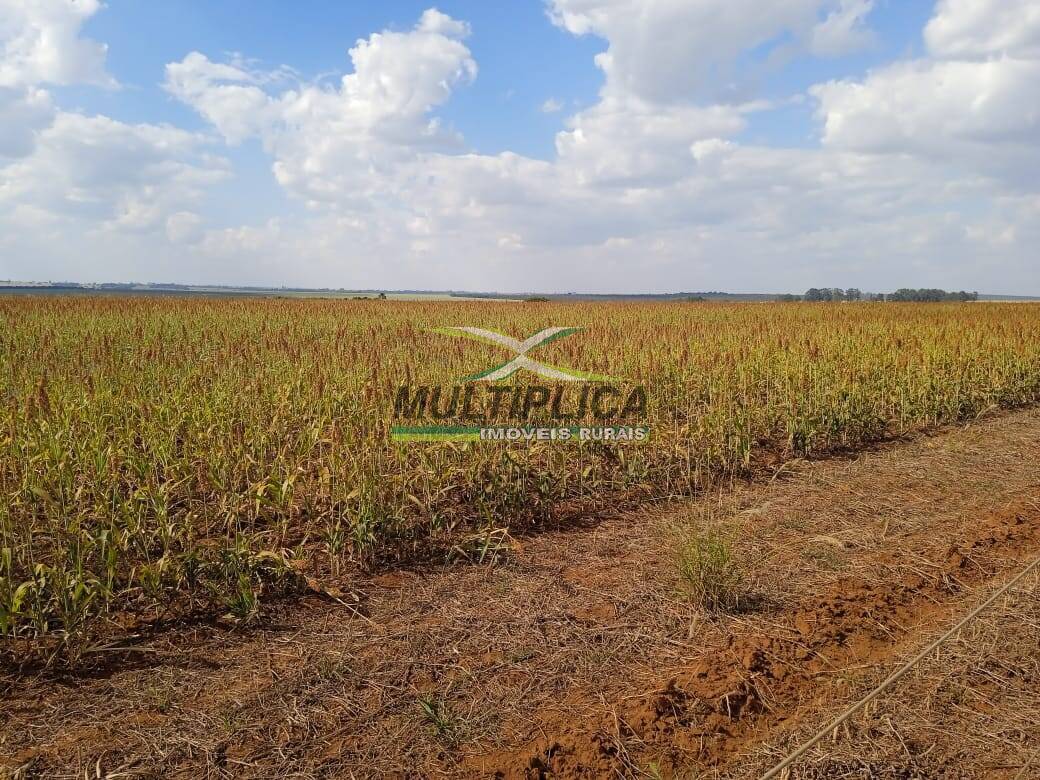 Fazenda à venda - Foto 4