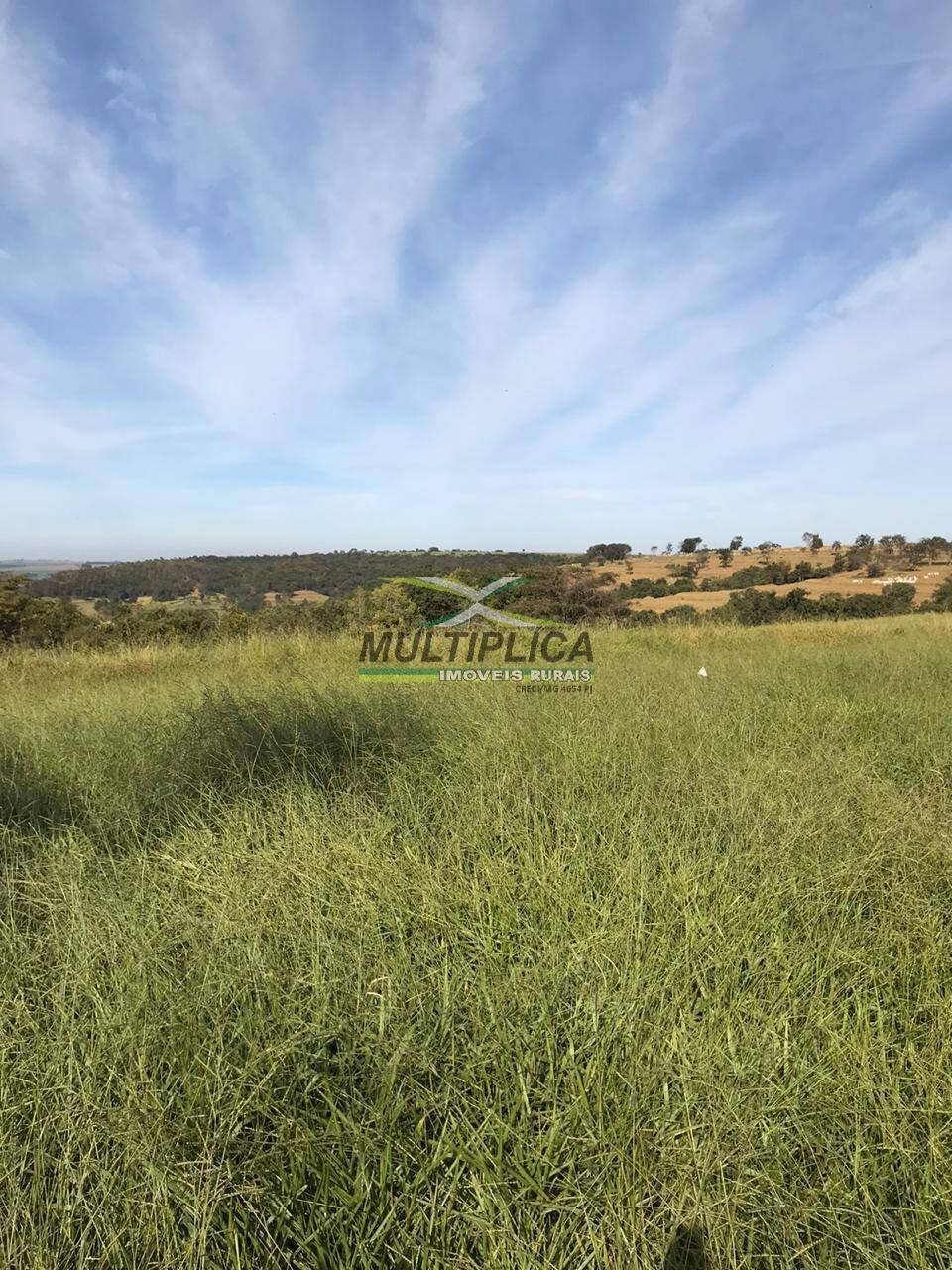 Fazenda à venda, 256m² - Foto 1