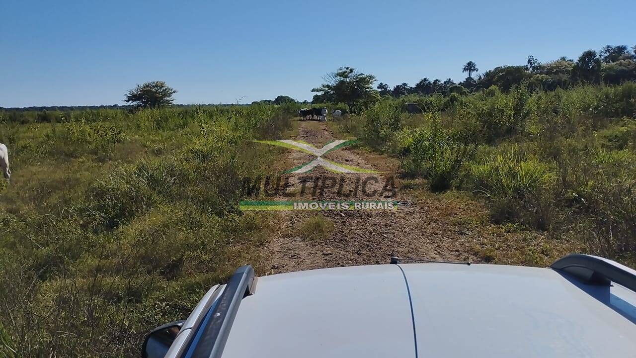 Terreno à venda, 5000m² - Foto 3