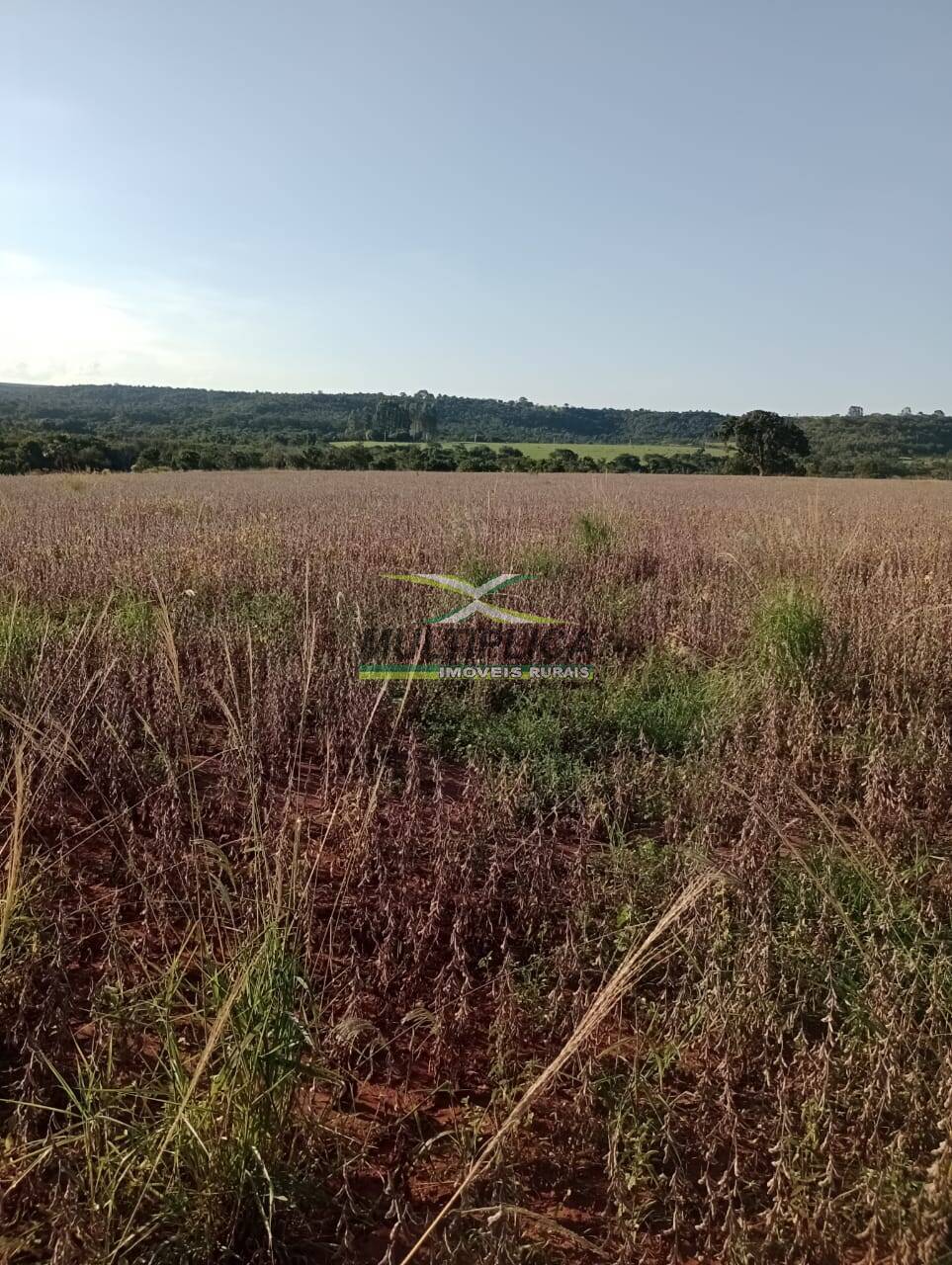 Fazenda à venda, 53m² - Foto 1