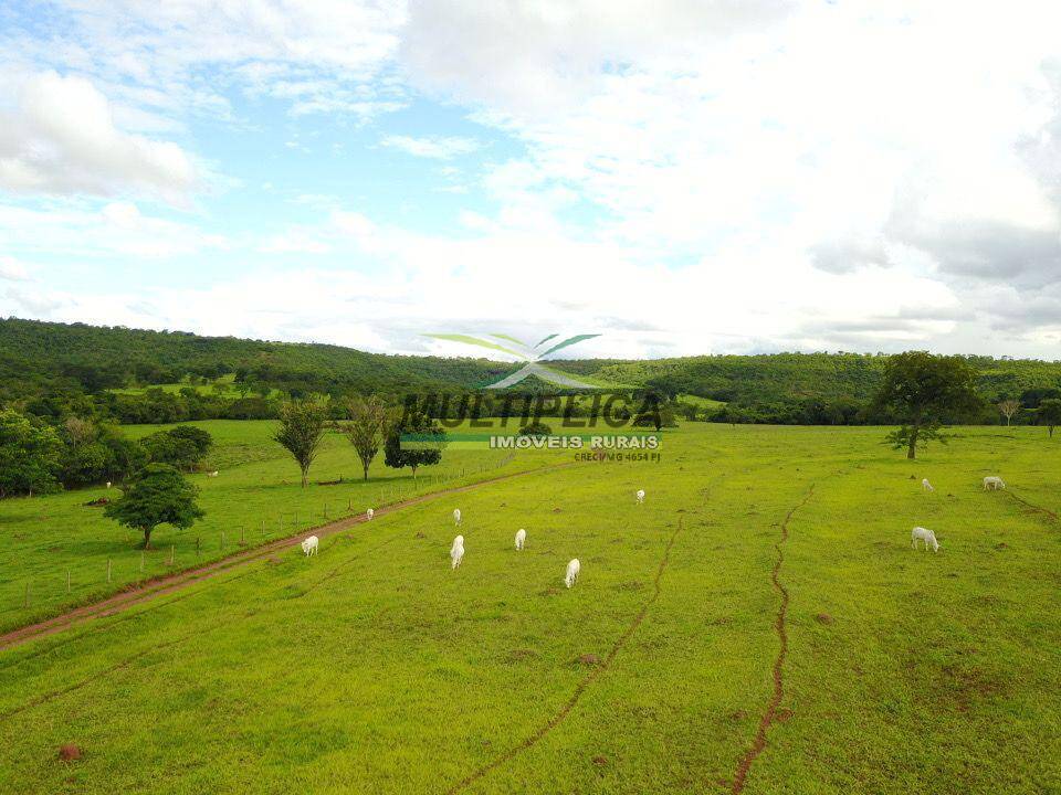 Fazenda à venda, 174m² - Foto 4