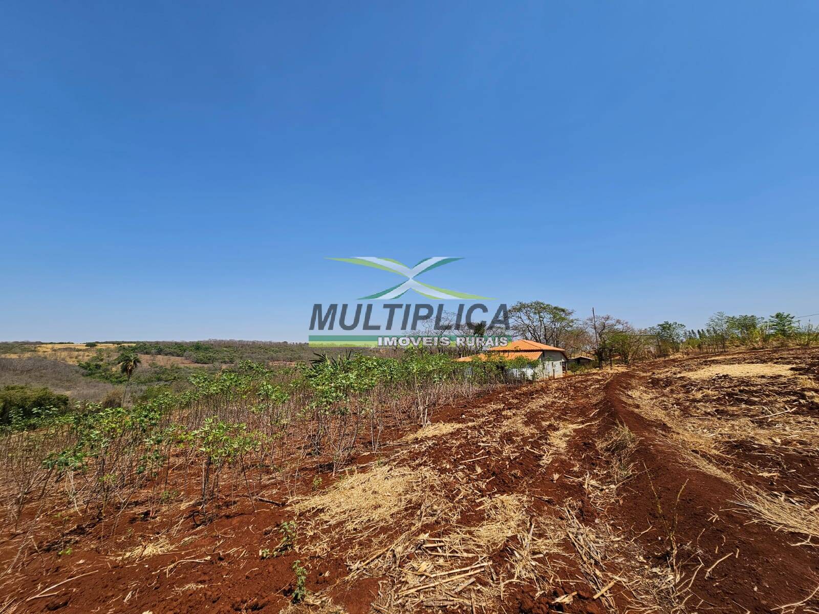 Fazenda à venda, 54000m² - Foto 3