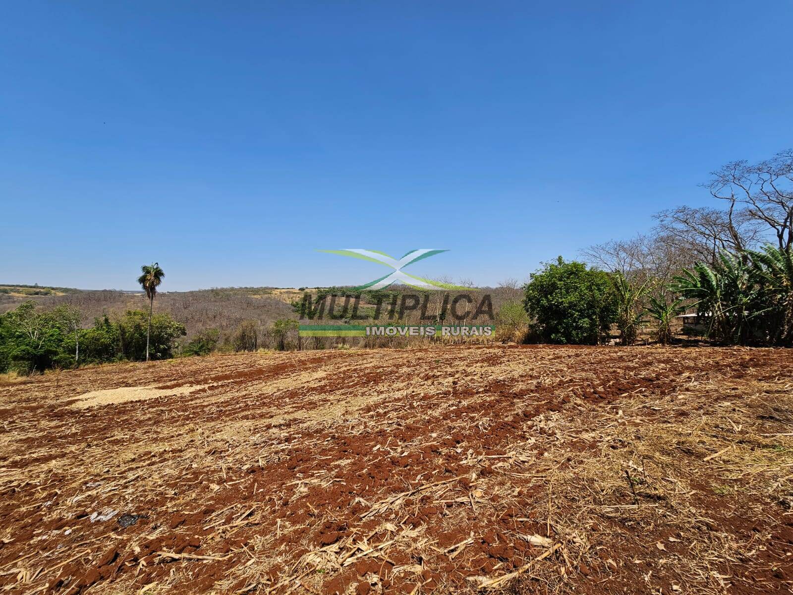 Fazenda à venda, 54000m² - Foto 5