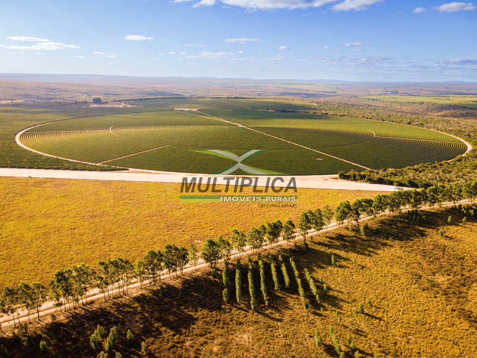 Fazenda à venda, 1216m² - Foto 2