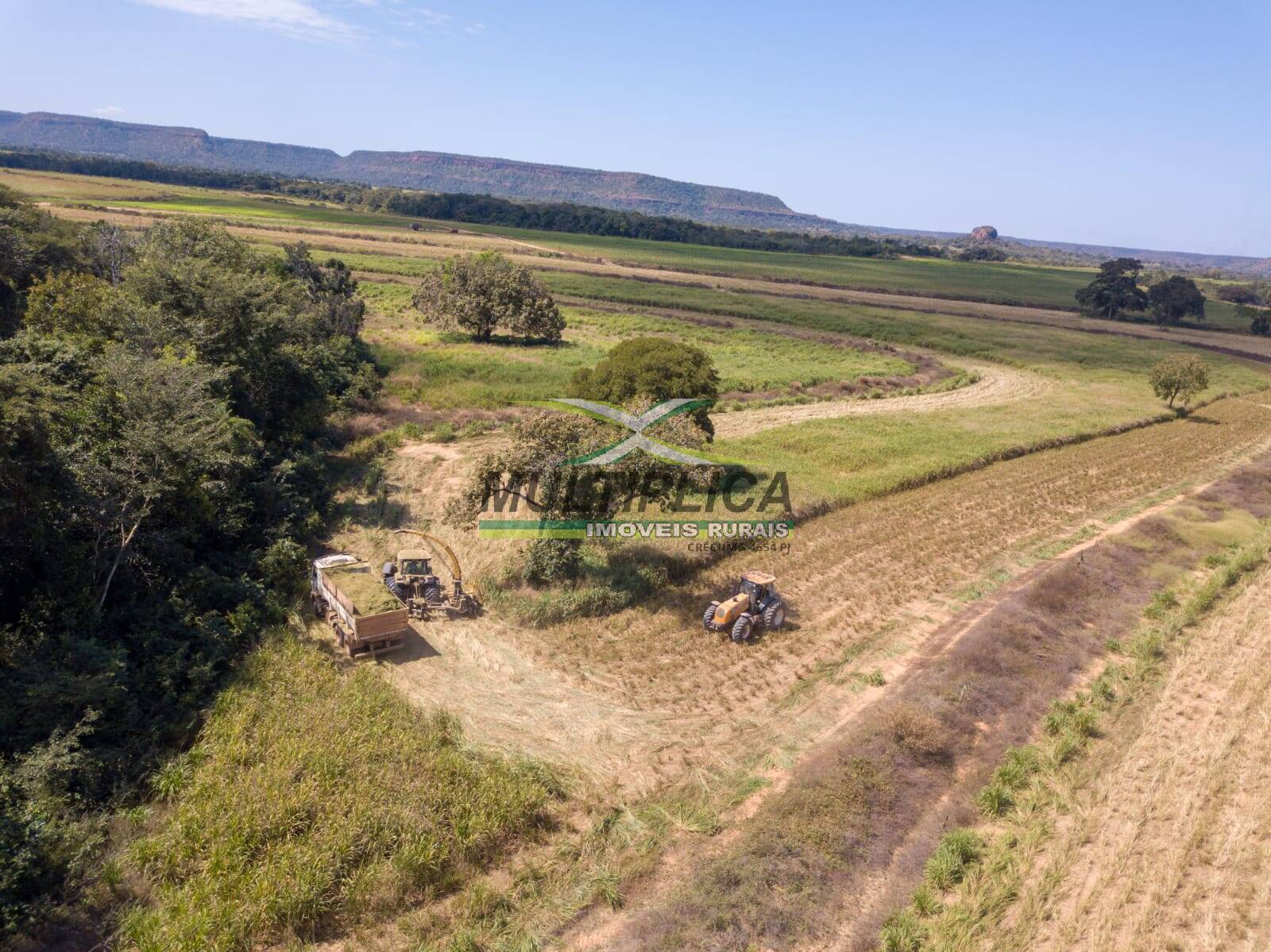 Terreno à venda, 18800m² - Foto 3