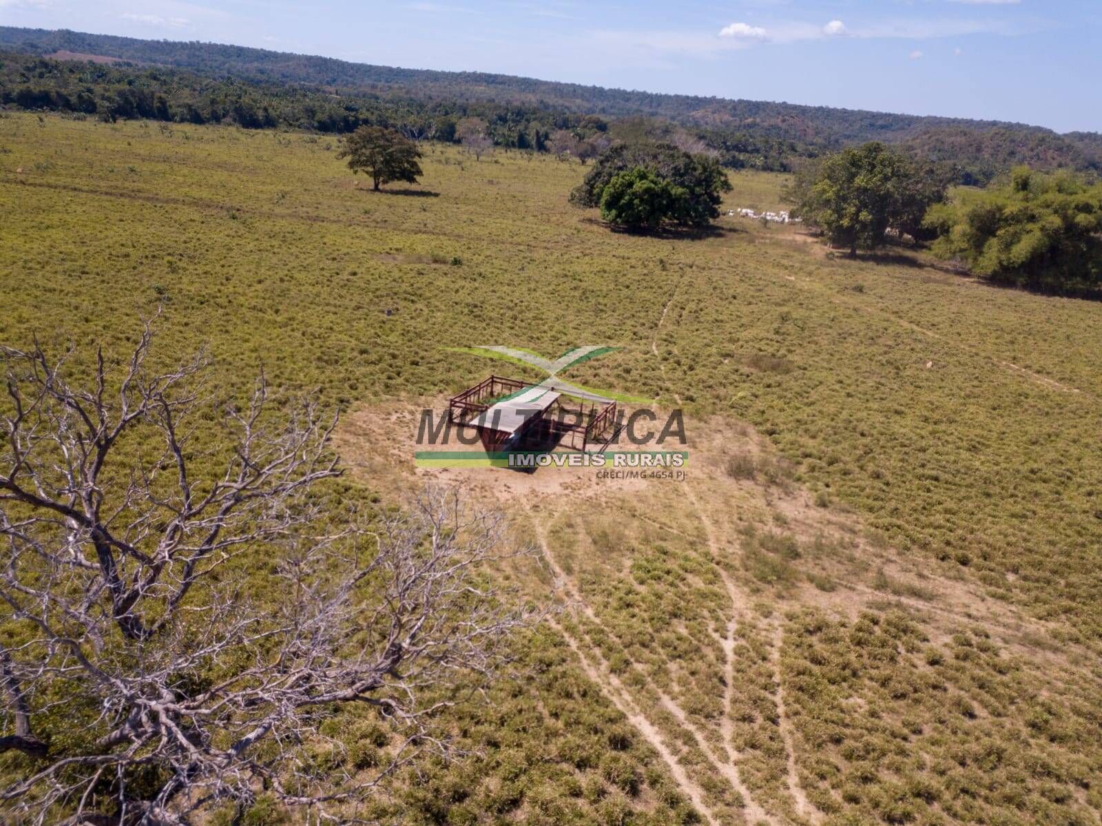 Terreno à venda, 18800m² - Foto 4